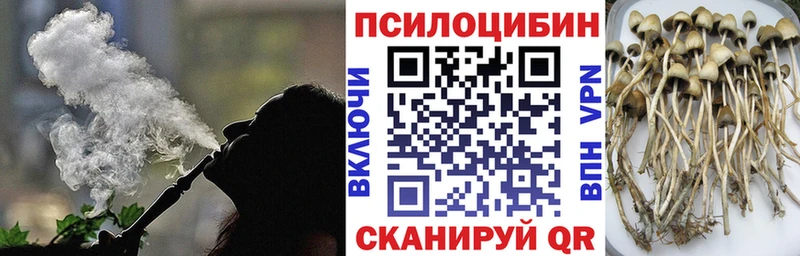 Купить где  Великий Устюг  Галлюциногенные грибы Cubensis 